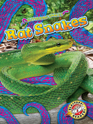 cover image of Rat Snakes
